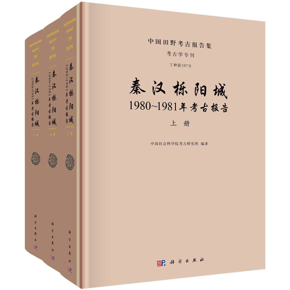 秦汉栎阳城：1980~1981年考古报告/中国社会科学院考古研究所