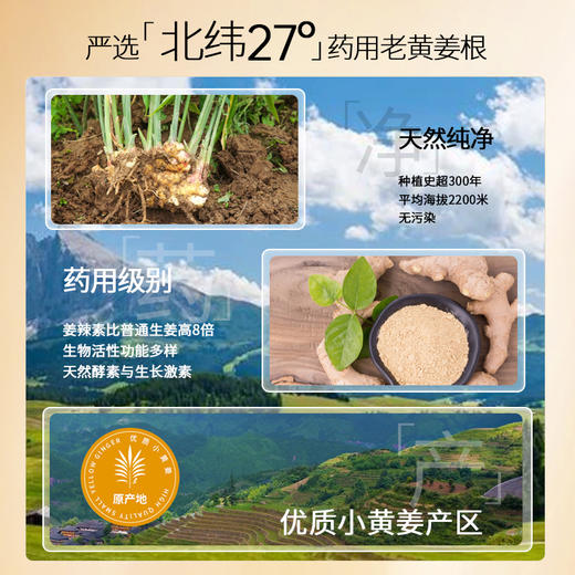 儒意姜约防脱洗发露500ml 生姜洗发水防脱发固发 控油祛屑止痒 | 儒意官方旗舰店 商品图4