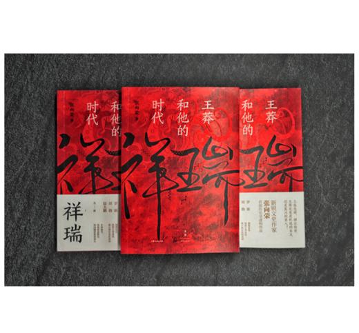 祥瑞：王莽和他的时代 商品图1