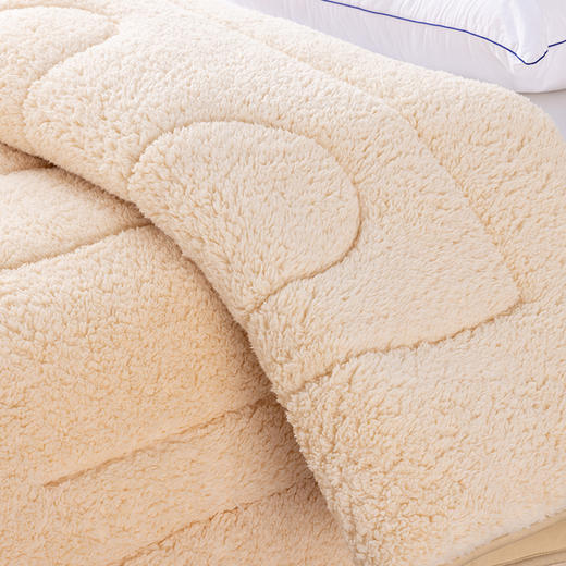 多喜爱 暖阳负离子两用软垫 cs 商品图2