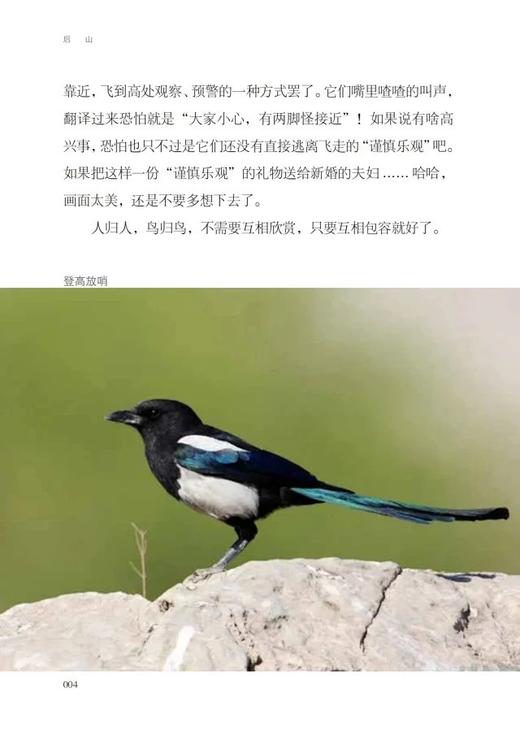 后山&1149（张鹏、张睿麟 著）天空王者作者最新力作，父子共同书写的自然观察笔记 商品图9