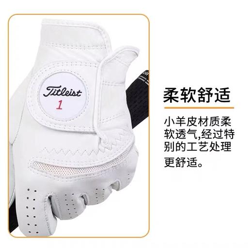 Titleist泰特利斯 男士高尔夫Perma-Soft 抗雨抗汗水小羊皮手套 商品图4