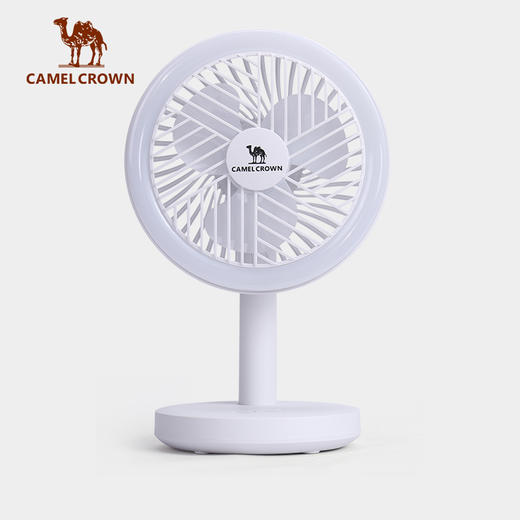 户外露营小风扇帐篷灯便携充电静音LED灯悬挂营地灯学生宿舍照明 1J32350504 商品图0