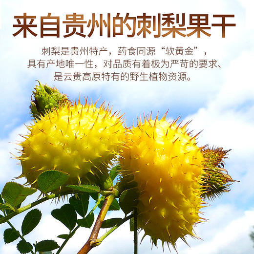 庄民 刺梨果干 手工精选 颗颗精选大颗粒好货 可泡刺梨酒茶150g/罐 商品图7