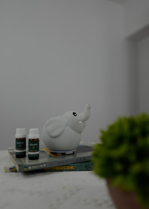大象迷你香薰机 特别适合小朋友房间 送甜橙精油一支 商品图1