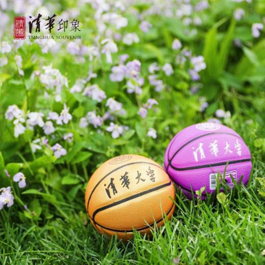 清华大学1#迷你篮球 商品图0