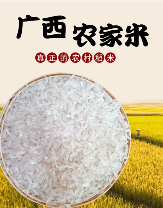 广西贵港农家米5kg 商品图0