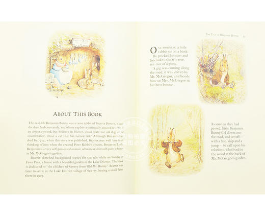 现货 彼得兔故事全集 儿童英语启蒙阅读绘本小说书 英文原版 Beatrix Potter The Complete Tales Peter Rabbit 毕翠克丝·波特 商品图2