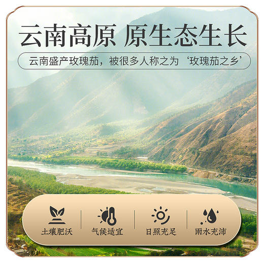 庄民 洛神花 玫瑰茄 手工精选好货 干花茶叶花草茶50g/罐 商品图6