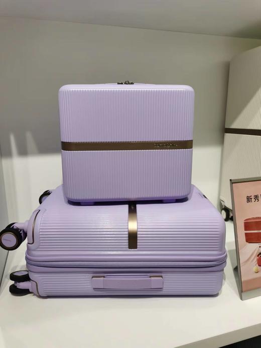 新秀丽MINTER网红摩登小流金箱可肩背迷你PC材质小拉杆箱HH5*005 商品图12