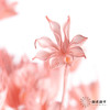 永生花材 | 八角草粉色 商品缩略图1