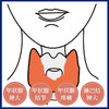 祖医堂医用冷敷甲状腺贴，甲状腺肿大、结节、淋巴结肿大、一撕一贴、李时珍中医药出品 商品缩略图1