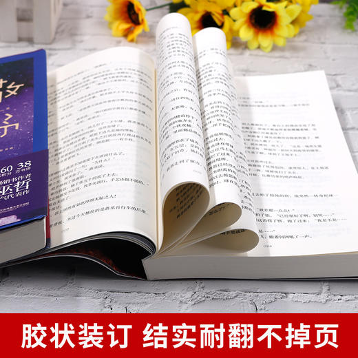 【优惠套装】撒野1+2+3完结篇 巫哲撒野小说全套正版未删减2020新版 套装三册包邮 商品图4
