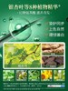 【遮白发】多爱一洗黑染发剂 植物无刺激 自己在家染 中老年人染发露 商品缩略图2