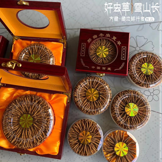 【下单任何规格虫草送野生羊肚菌50克体验装】那曲冬虫夏草 藏地干货 商品图3