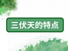 2、三伏天的特点 商品图0