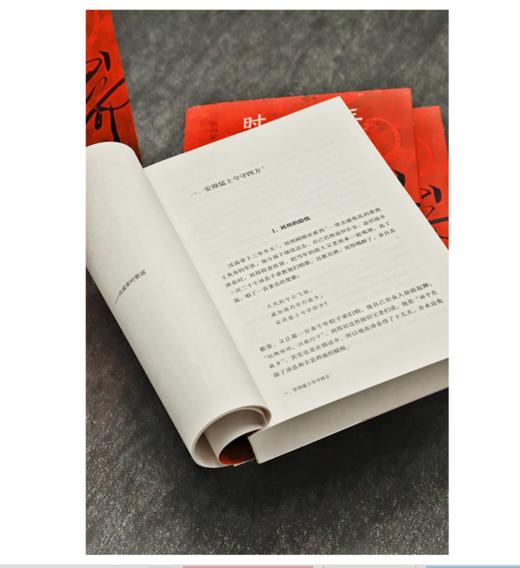 祥瑞：王莽和他的时代 商品图6