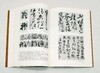 《形势衍》，16开平装，沃兴华著，上海古籍出版社2010年版，定价52，售价30元。品相9成。

本书论述了书法构成中的三个层次，即点画中的形和势，结体中的笔势和体势，章法中的时间节奏和空间造形，并以 商品缩略图5