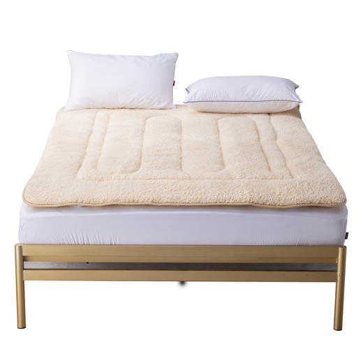 多喜爱 暖阳负离子两用软垫 cs 商品图5