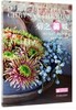 书名:菊之美味欧式菊花主题花艺设计 商品缩略图0