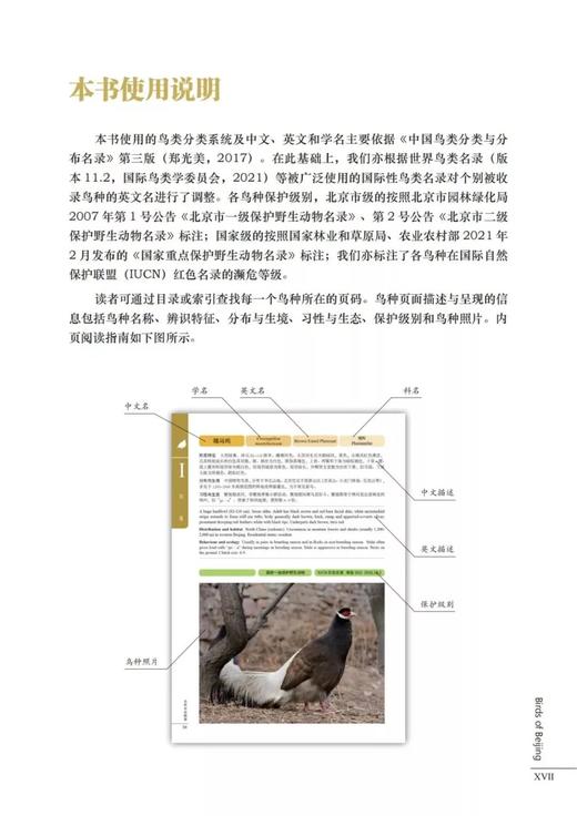 【2022年首都科普好书】北京鸟类图谱1384 商品图5