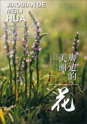 书名:脚边的美丽花 商品图0