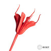 永生花材 | 八角草红色 商品缩略图1