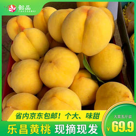 【乐昌黄桃】！69.9元抢购乐昌黄桃12个装（约5斤），果肉细腻，味浓香甜。【省内京东包邮】