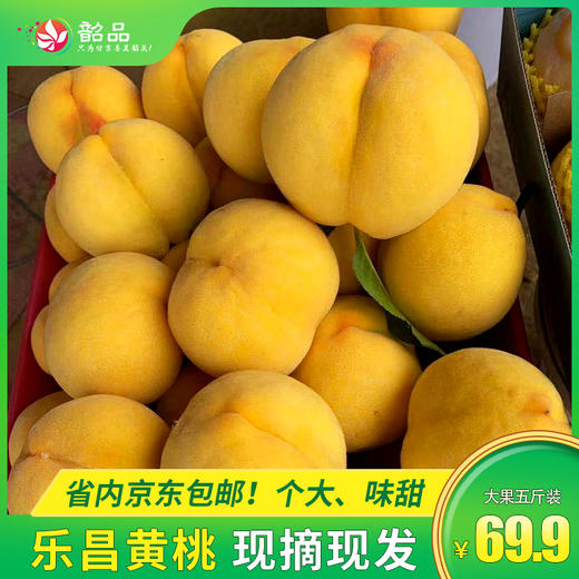 【乐昌黄桃】！69.9元抢购乐昌黄桃12个装（约5斤），果肉细腻，味浓香甜。【省内京东包邮】 商品图0