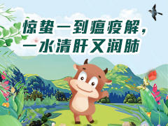 惊蛰一到瘟疫解，一水清肝又润肺 商品图0