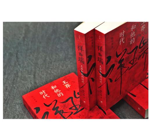 祥瑞：王莽和他的时代 商品图2