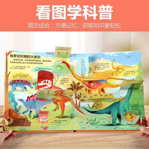 【常青藤爸爸】乐乐趣揭秘翻翻书低幼版第一辑~第四辑 商品图6