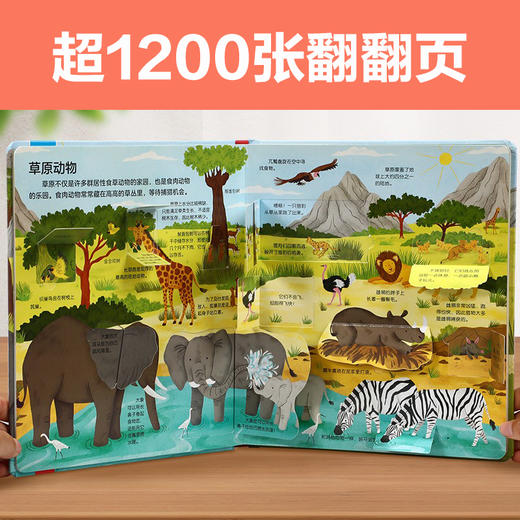 【常青藤爸爸】乐乐趣揭秘翻翻书低幼版第一辑~第四辑 商品图2