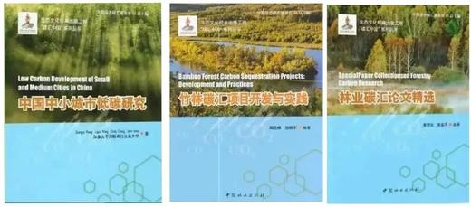 碳汇中国系列丛书 商品图1