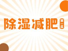 除湿减肥第一 商品图0