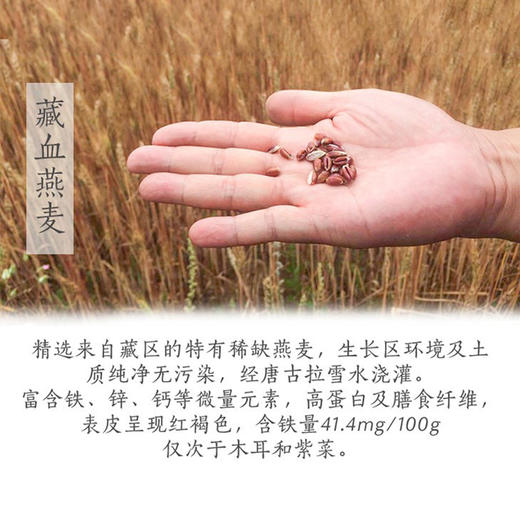 有机藏血麦片（全麦麸型略煮）600克*2 商品图2