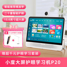 小度大屏护眼学习机P20 15.6英寸智能陪娃居家学习-科学家庭育儿