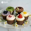 【轻蛋糕·cupcake】绿野仙踪 | 黑池 商品缩略图1