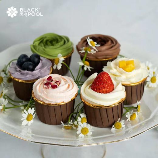 【轻蛋糕·cupcake】绿野仙踪 | 黑池 商品图1
