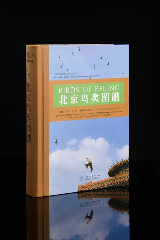 【2022年首都科普好书】北京鸟类图谱1384 商品图0