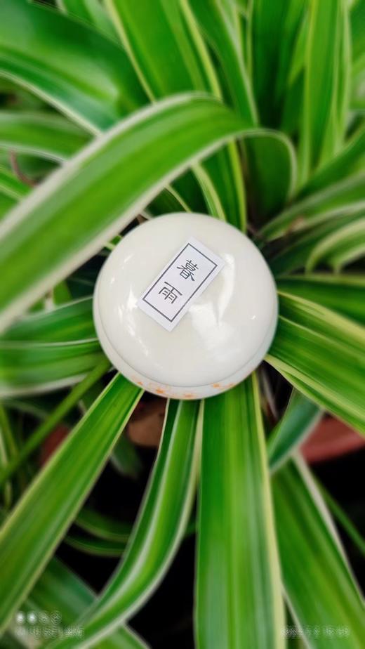 【纯妧手工坊】新品发布-纯手工精油香膏/留香/体香剂/驱蚊/栀子花/兰栀/桂花/百香果/蓝风铃/玫瑰/薰衣草/暮雨/邂逅 商品图8
