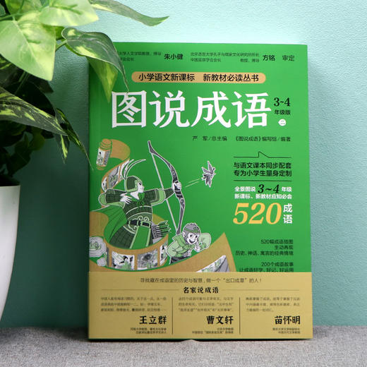 图说成语全三册1560个成语注音版一二年级三四五六年级小学语文教材配套同步每册520个成语故事典故接龙归纳造句课外读物阅读书 商品图3