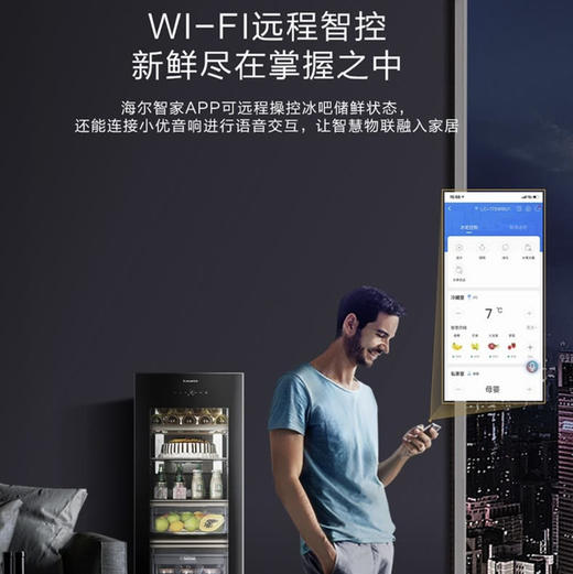 卡萨帝（Casarte）冰吧LC-172WBU1（黑色） 商品图12