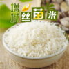 中原极品丝苗米5kg 商品缩略图0