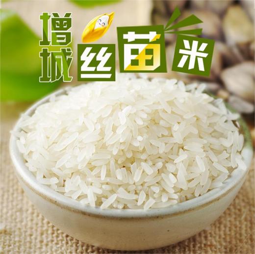 中原极品丝苗米5kg 商品图0