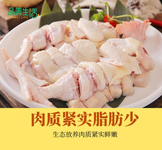 海南文昌椰子鸡 400多年历史的的道地鸡肉品种 商品图2