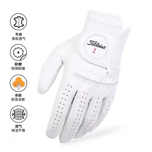 Titleist泰特利斯 男士高尔夫Perma-Soft 抗雨抗汗水小羊皮手套 商品图3