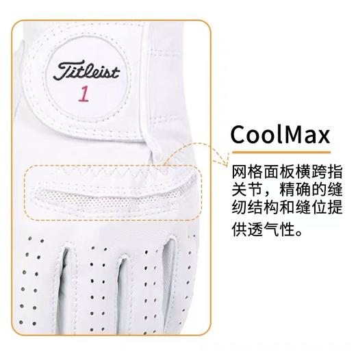 Titleist泰特利斯 男士高尔夫Perma-Soft 抗雨抗汗水小羊皮手套 商品图5