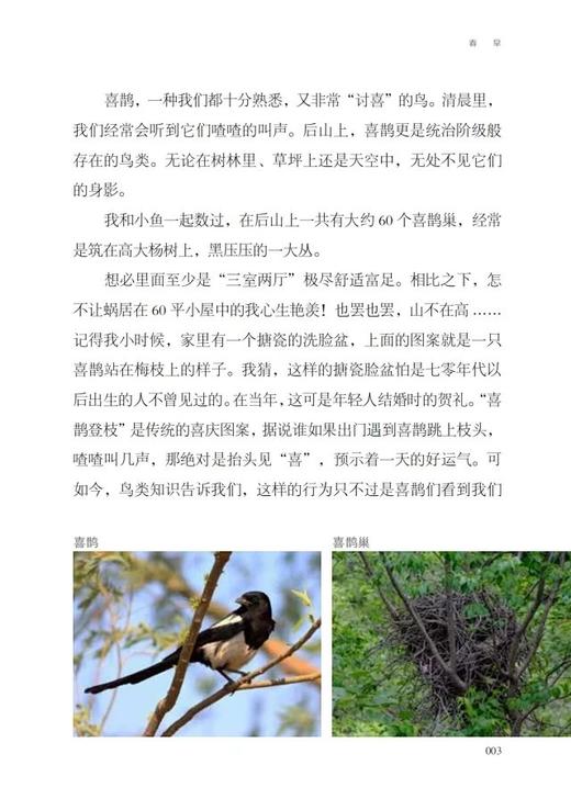 后山&1149（张鹏、张睿麟 著）天空王者作者最新力作，父子共同书写的自然观察笔记 商品图8