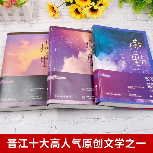 【优惠套装】撒野1+2+3完结篇 巫哲撒野小说全套正版未删减2020新版 套装三册包邮 商品图3